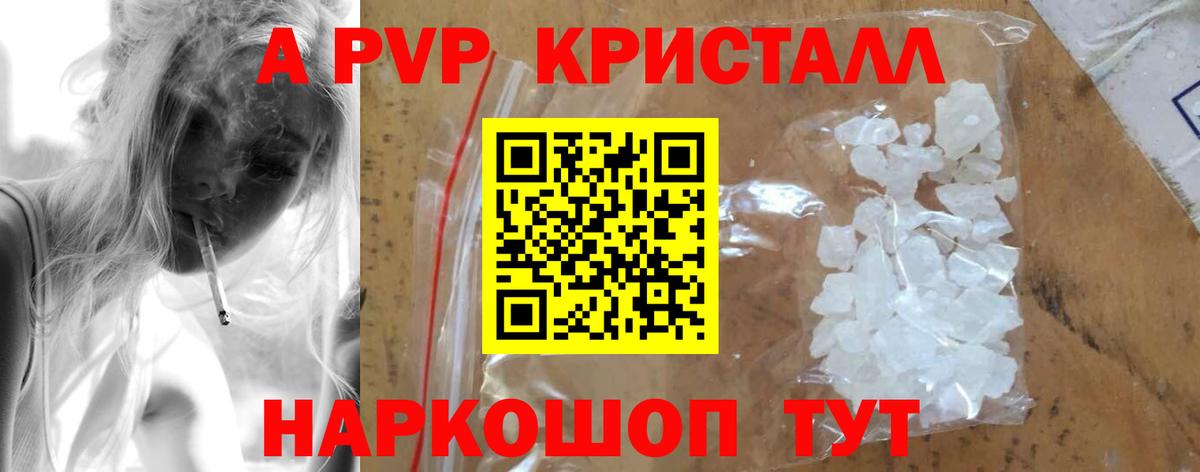 A PVP СК КРИС Сочи