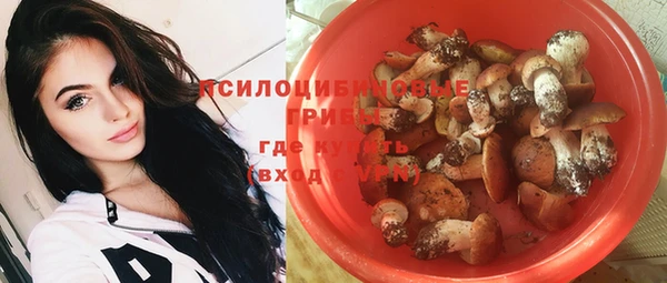 ешки Алзамай