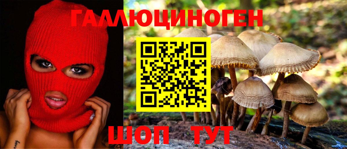 Галлюциногенные грибы прущие грибы  Вход с VPN  Сочи 